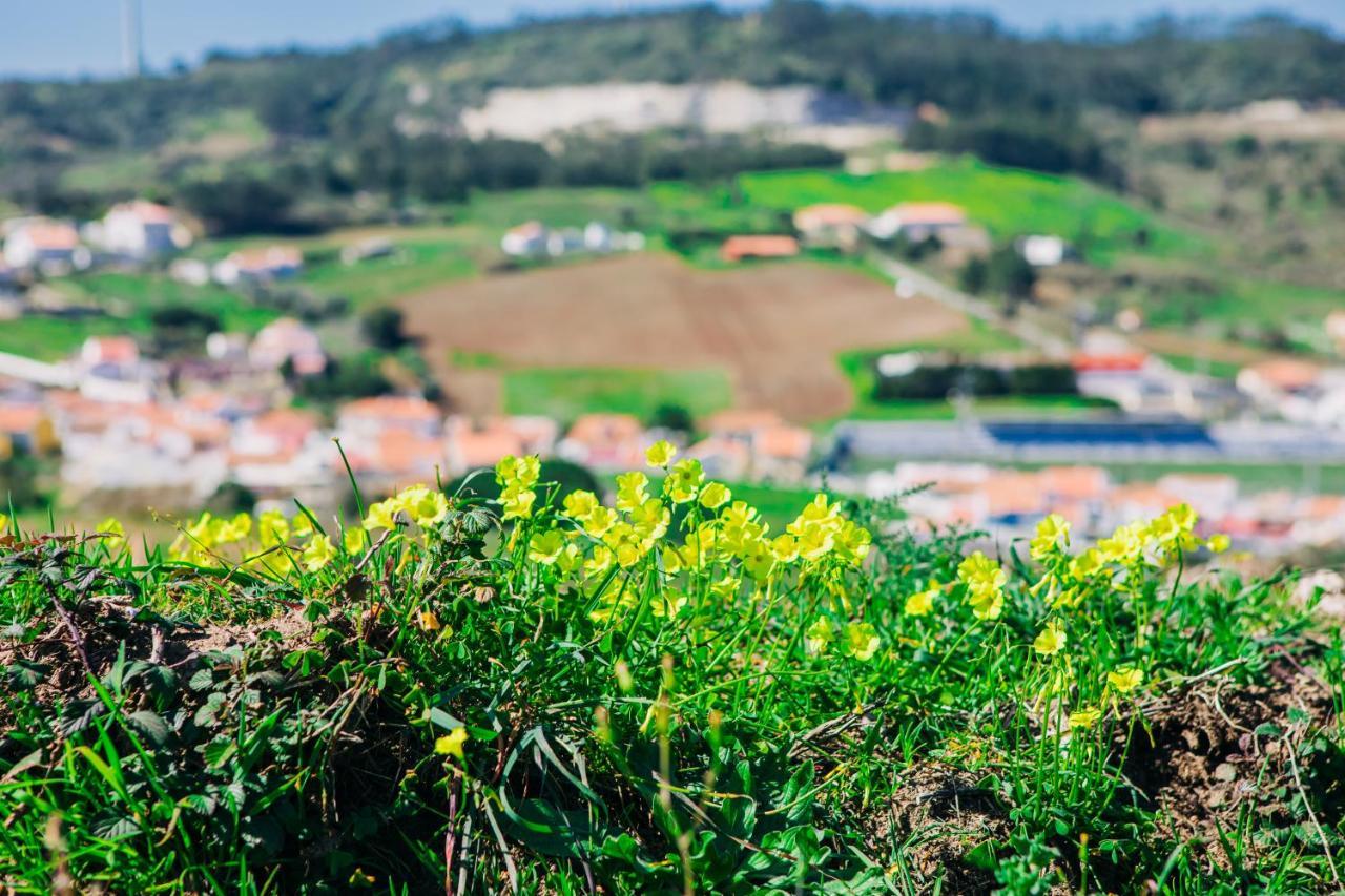 Traditional Portuguese Village House - Casa Martins No 52 Freiria Екстер'єр фото