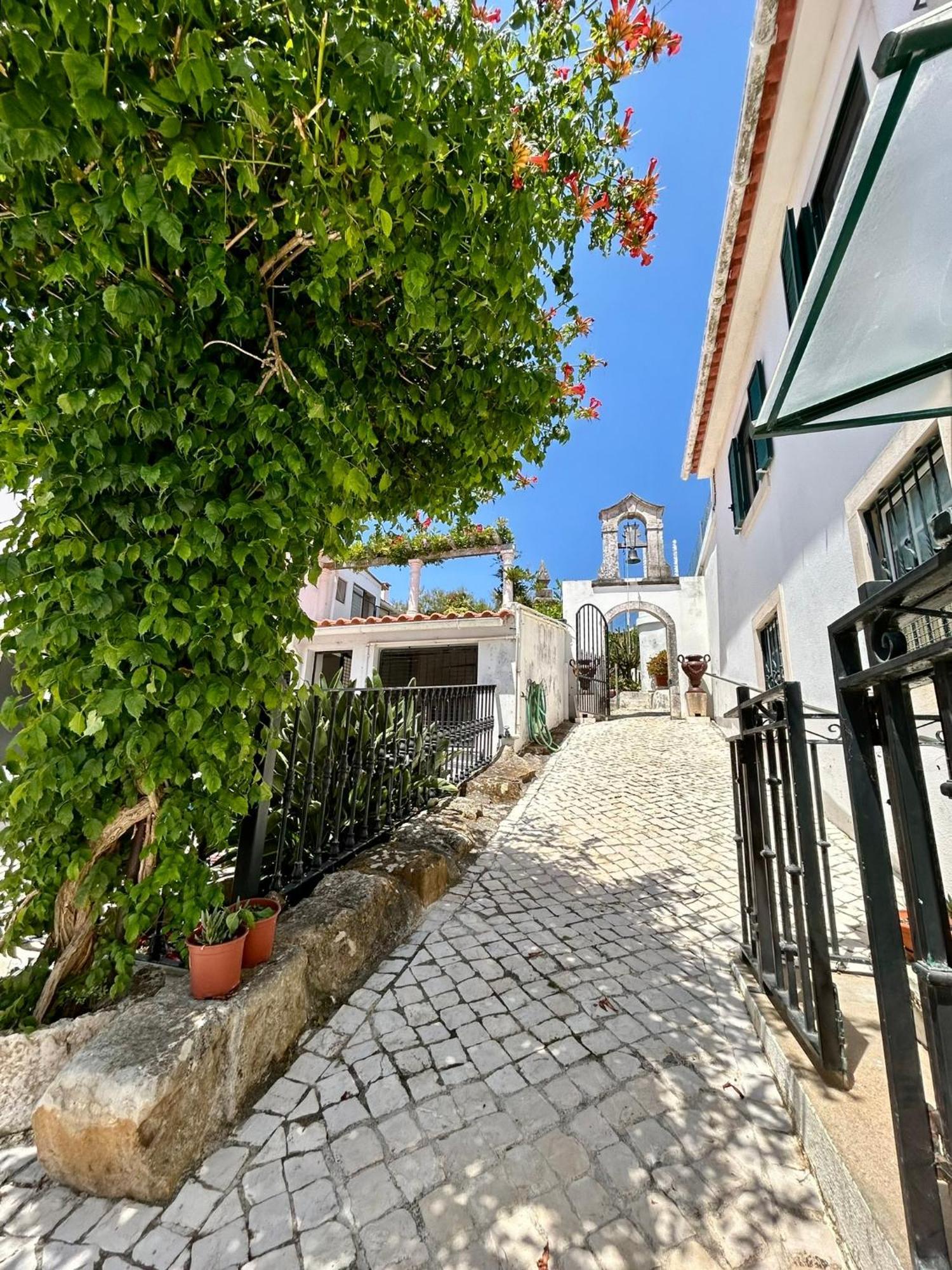 Traditional Portuguese Village House - Casa Martins No 52 Freiria Екстер'єр фото